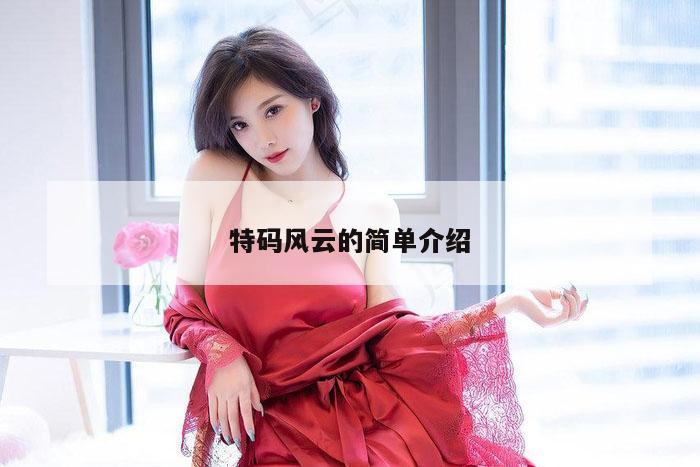 特码风云的简单介绍